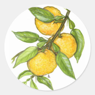 Sticker Rond La collection de Yuzu
