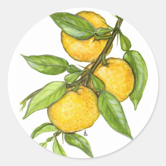 Sticker Rond La collection Yuzu (Devant)
