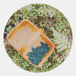 Sticker Rond La cueillette de bleuets sauvages dans la forêt su