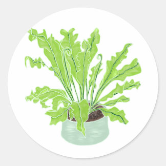 Sticker Rond La fougère de nid d'Asplenium Bird - en tirant sur