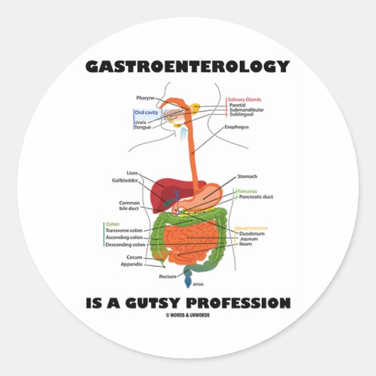 Sticker Rond La Gastroentérologie Est Une Profession Goutte (Devant)