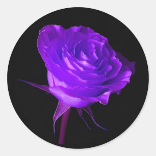 Sticker Rond "La lueur pourpre" s'est levée