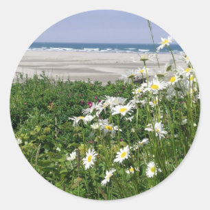Sticker Rond "La marguerite estivale"