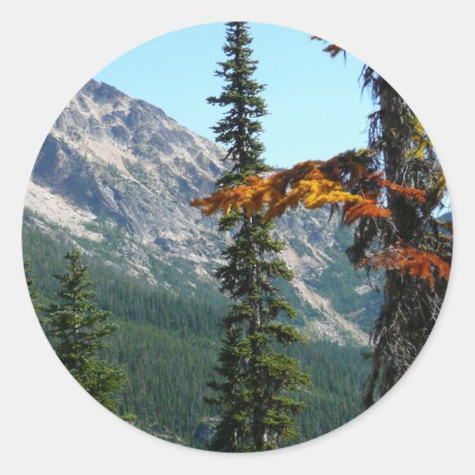 Sticker Rond La merveille de la nature (Devant)