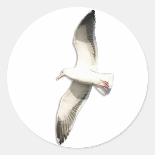 Sticker Rond La Mouette montante d'Helaine (Devant)