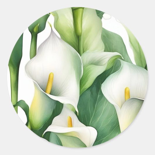 Sticker Rond La nature blanche de Calla Lily (Devant)