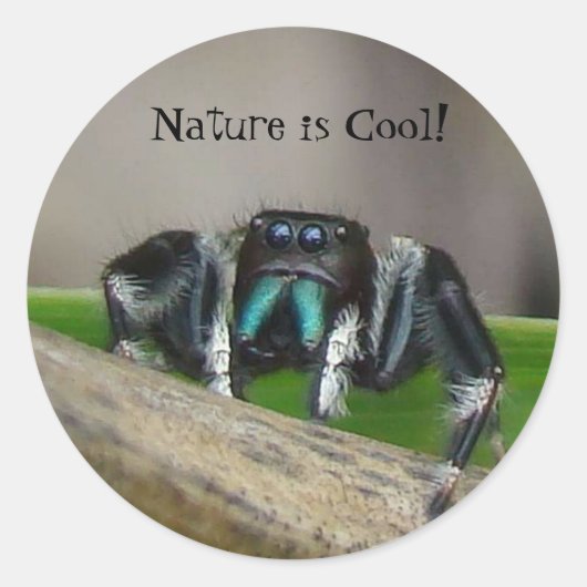 Sticker Rond La nature est Cool ! (Devant)