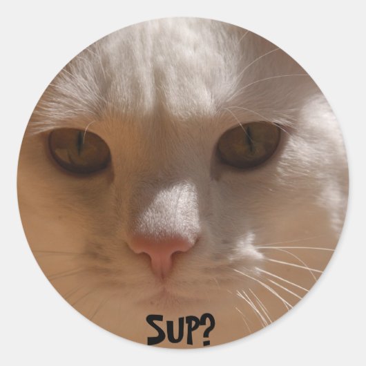 Sticker Rond La noix de coco le chat - SUP ? (Devant)