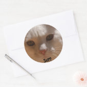Sticker Rond La noix de coco le chat - SUP ? (Enveloppe)