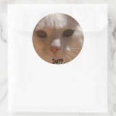 Sticker Rond La noix de coco le chat - SUP ? (Sac)