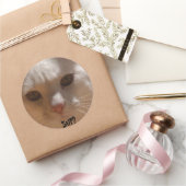 Sticker Rond La noix de coco le chat - SUP ? (Cadeaux)