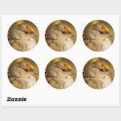 Sticker Rond La résilience d'un Bruant doré (Feuille)