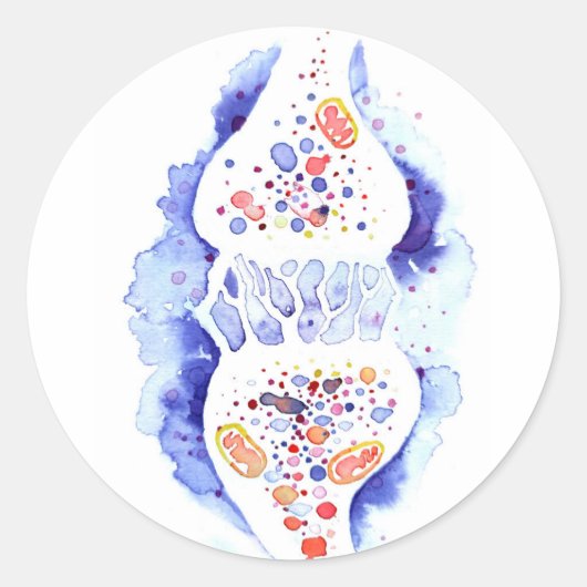 Sticker Rond La synapse et l'impulsion nerveuse impression de t (Devant)