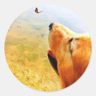 Sticker Rond La Vie Est Belle