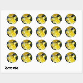 Sticker Rond L'abondance de Clivia (Feuille)