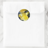 Sticker Rond L'abondance de Clivia (Sac)