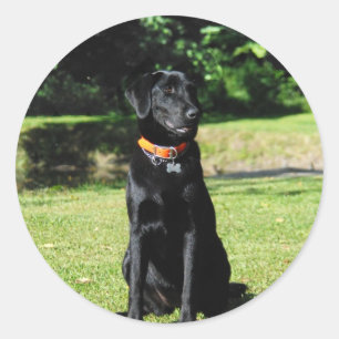 Sticker Rond Laboratoire noir