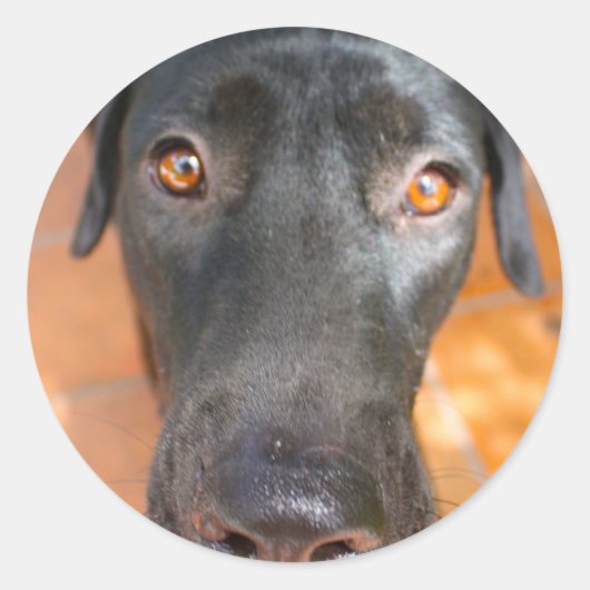Sticker Rond laboratoire noir (Devant)