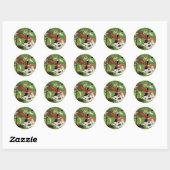 Sticker Rond Laboratoires Apple Farm (Feuille)