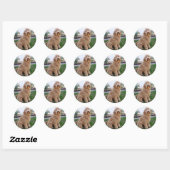 Sticker Rond Labradoodle Chien chiot (Feuille)