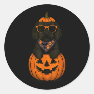 Sticker Rond Labradoodle effrayant citrouille Halloween amateur