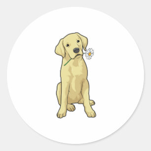 Sticker Rond Labrador Daisy