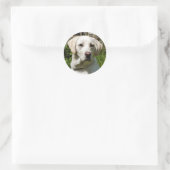 STICKER ROND LABRADOR DOG (Sac)