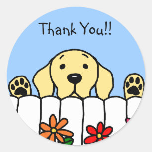 Sticker Rond Labrador jaune vous observant