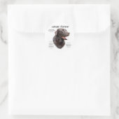 Sticker Rond Labrador Retriever (chocolat) Histoire Conception (Sac)