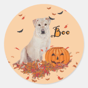 Sticker Rond Labrador Retriever jaune Halloween