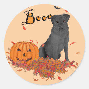 Sticker Rond Labrador Retriever noir Boo!