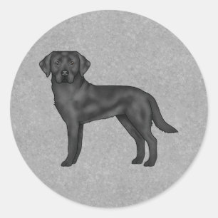Sticker Rond Labrador Retriever noir Chien Canin mignon Gris