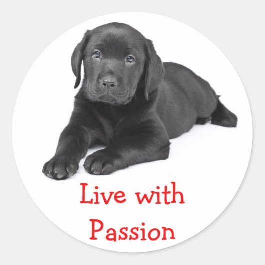 Sticker Rond Labrador Retriever Puppy Live With Passion Stick (Devant)