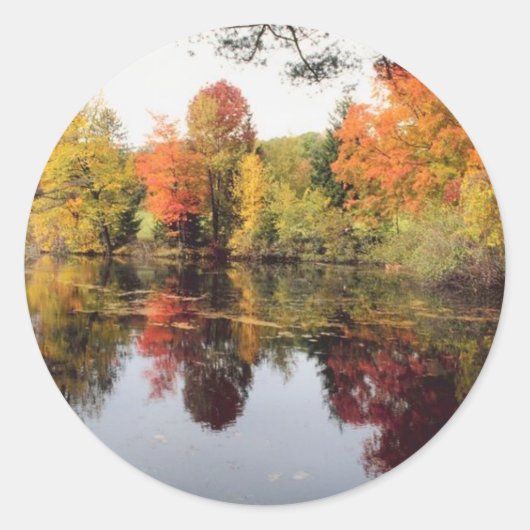 Sticker Rond Lac Fall (Devant)