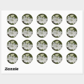 Sticker Rond Lace de la Reine Anne (Feuille)