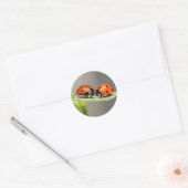 Sticker rond Lady Bugs (Enveloppe)
