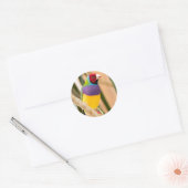 Sticker Rond Lady Gouldian Finch (Enveloppe)