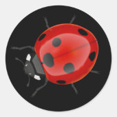 Sticker Rond Ladybug (Devant)