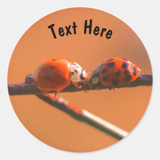 Sticker Rond Ladybug Friends Nature Personnalisé (Devant)