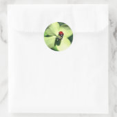 Sticker Rond Ladybug Sur La Fleur De Dogwood (Sac)