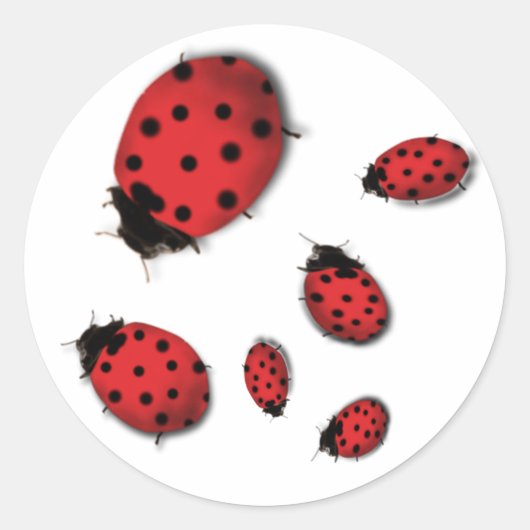 Sticker Rond Ladybugs (Devant)