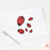 Sticker Rond Ladybugs (Enveloppe)