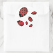 Sticker Rond Ladybugs (Sac)