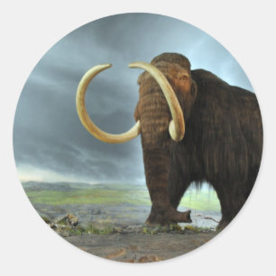 Sticker Rond Laine Mammoth Mod Destiny