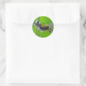 Sticker Rond Lait Tussock Moth Caterpillar Items (Sac)