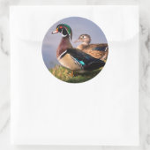 Sticker Rond Lakeside (Sac)