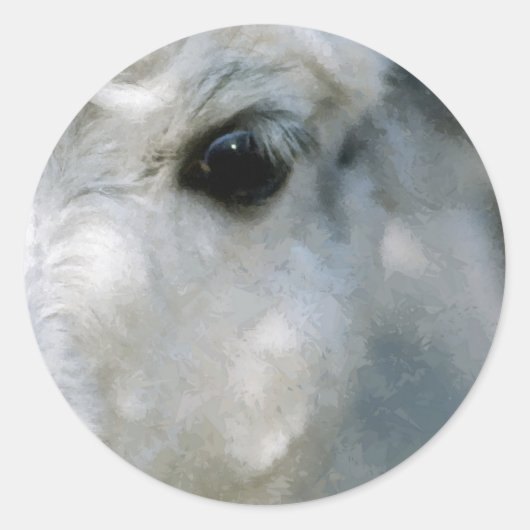 Sticker Rond Lama (Devant)