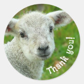 Sticker Rond Lamb Face Merci laine affaires (Devant)