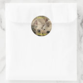 Sticker Rond L'amour est...... Siamais (Sac)