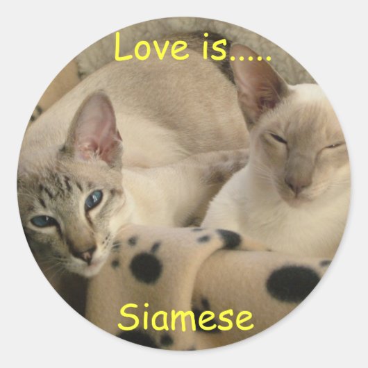 Sticker Rond L'amour est...... Siamais (Devant)